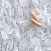 新米正宗五常大米稻花香米5kg
