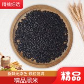 鸿禾 黑米 贡米 长寿米 补血米
