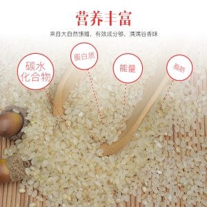 糙米 全胚芽米健身玄米