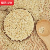 糙米 全胚芽米健身玄米