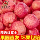 陕北延安山地 红富士苹果