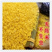 坡地黄金小米（2.5kg礼盒）