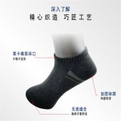 抗菌棉细柔运动男袜（6双/盒）T2024    