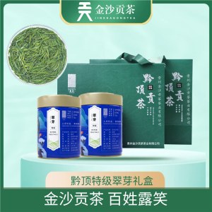 黔顶翠芽特级绿茶100*2龙罐+2021款礼盒